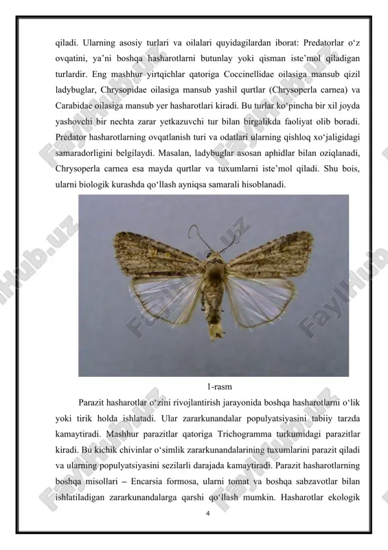 digan zararkunandalarga qarshi qo‘llash mumkin. hasharotlar ekologik tizimlarda faqat yirtqich yoki parazit sifatida emas, balki polinatsiya va organik moddalarni parchalanish jarayonida ham muhim rol o‘ynaydi. masalan, apis mellifera (asalari) nafaqat polinatsiyada ishtirok etadi, balki o‘simliklarning ko‘payishiga yordam beradi. ayrim entomofag hasharotlar o‘zlashtirilgan pestitsidlarning kamayishiga yordam beradi. hasharotlar barcha ekotizimlarda uchraydi – tropik o‘rmonlardan tortib, cho‘l va tog‘li hududlargacha. ularning har bir turi o‘zining tabiiy yashash muhitiga moslashgan bo‘lib, qishloq xo‘jaligidagi foydali turlari ko‘pincha ekin maydonlari, bog‘lar va yashil hududlarda faoliyat ko‘rsatadi. entomofag hasharotlarning samarali ishlashi, ularning tabiiy yashash sharoitiga bog‘liq bo‘lib, ozuqa zaxirasi, iqlim sharoiti va o‘simliklarning mavjudligi bilan belgilanadi. hasharotlarning tasnifi va turlari ularning biologik xususiyatlarini, ovqatlanish odatlarini va qishloq xo‘jaligida qo‘llanilishini tushunishga imkon beradi. entomofag hasharotlarning turli oilalari va turlari qishloq xo‘jaligidagi biologik kurash tizimida asosiy element sifatida ishlatiladi, ularning ekologik rolini chuqur o‘rganish esa samarali kurash strategiyalarini ishlab chiqishda muhim ahamiyatga ega. hasharotlarning tasnifi ularning ekologik rolini …