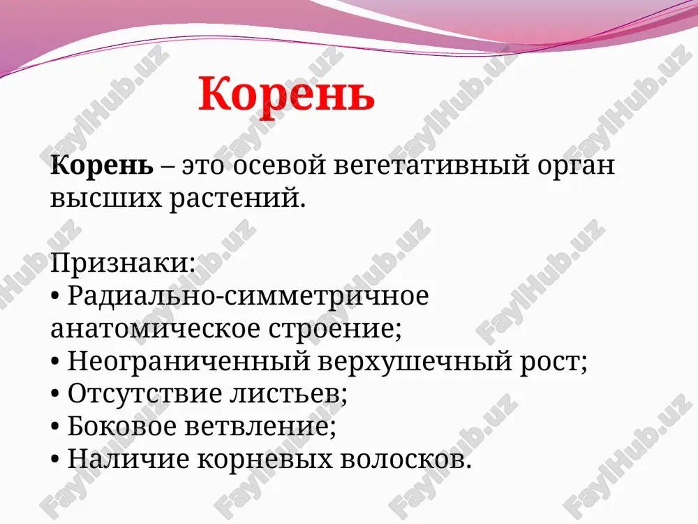 aya). kolyuchka - odrevesnevshiy ukorochenniy pobeg bez listev s ostroy verxushkoy. kolyuchka-pobeg obrazuetsya v pazuxe lista kaudeks (caudex), ili steblek,ren (caulorrhiza), — mnogoletniy organ steblevogo proisxojdeniya mnogoletnix trav ili polukustarnikov. predstavlyaet soboy odrevesnevshie nijnie uchastki mnogoletnix pobegov s pochkami vozobnovleniya. ot kaudeksa otxodit sterjnevoy koren.u nekotorix rasteniy kaudeks raspadaetsya na chasti–partikuli. protsess razdeleniya kaudeksa na chasti–partikulyatsiya (odin iz putey vegetativnogo razmnojeniya) list list – eto bokovoy vegetativniy organ visshix rasteniy, razvivayushiysya na steble, obladayushiy dvustoronney simmetriey i ogranichennim rostom. metomorfozi listev usiki - eto nitevidnie, chuvstvitelnie k prikosnoveniyu i prisposoblennie dlya lazaniya. v usiki preobrazuetsya chast lista ili vsya listovaya plastinka. kolyuchki listovogo proisxojdeniya obrazuyutsya na pobegax vmesto listev. takie kolyuchki raspolojeni pod formiruyushimisya ukorochennimi pobegami s listyami, chto dokazivaet ix listovoe proisxojdenie.na udlinennom pobege barbarisa mojno prosledit perexodnie formi ot obichnix listev k kolyuchkam kolyuchki kaktusov takje imeyut listovoe proisxojdenie fillodii - metamorfoz chereshka ili osnovaniya lista v obrazovanie, …