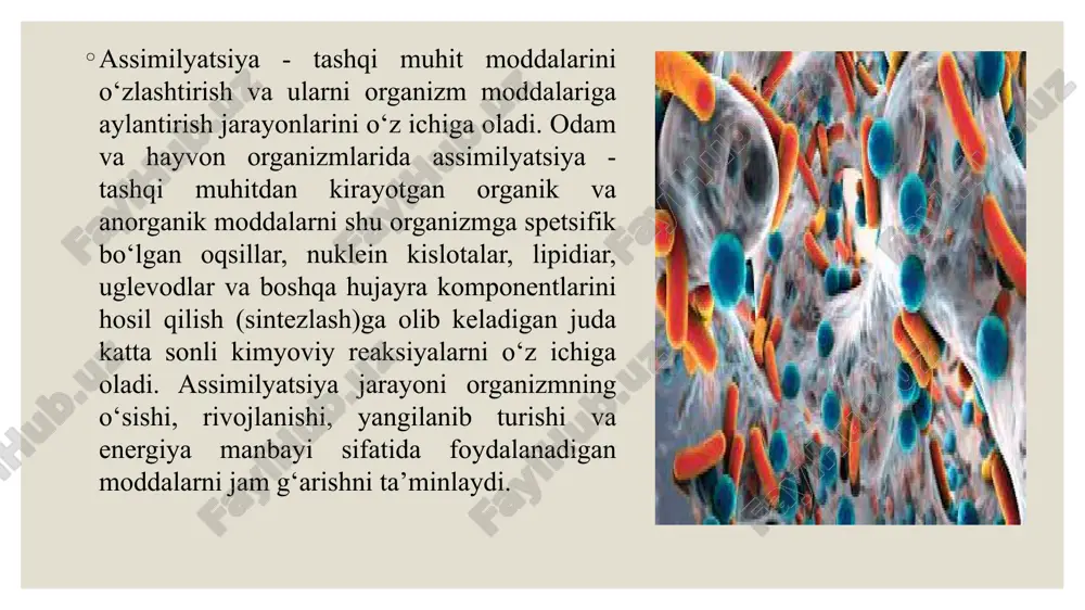 moddalar almashinuvining umumiy qonuniyatlari - Page 4