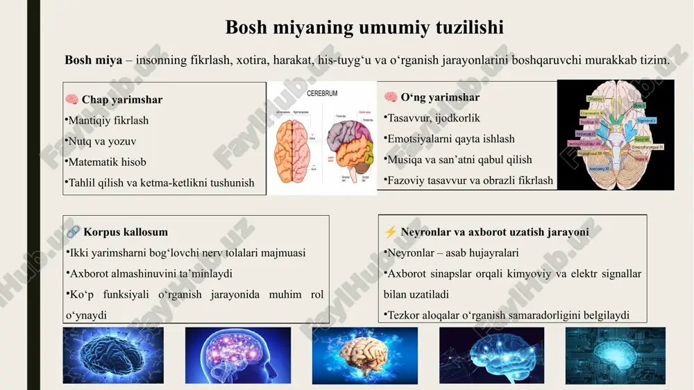 r, diagrammalar, audiolar orqali bilim berish 4. motorika rivojlantirish nozik motorika: qalam, chizish, qo‘l ishlari yirik motorika: sport, harakat mashqlari 5. stresssiz ta’lim muhiti bola o‘zini qulay va xavfsiz his qiladi hato qilishdan qo‘rqmay o‘rganadi diqqat va xotira faoliyati yaxshilanadi etiboringgiz uchun raxmat image1.png image2.png image3.png image4.png image5.png image6.png image7.png image8.png image9.png image10.png image11.png image12.png image13.png image14.png image15.png image16.png image17.png image18.png image19.png image20.png image21.png image22.png image23.png image24.png /docprops/thumbnail.jpeg