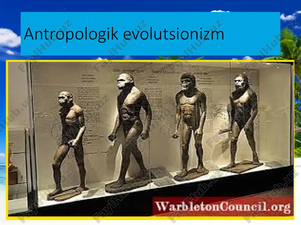 asligiga olib keladi bu esa yangi asar kitoblar g'oyalar tug'ulishiga sabab bo'ldi. ch. darvin evolyutsion nazariyasining asosiy printsiplari. darviniyalik evolyutsiya kontseptsiyasining mohiyati eksperimentda bir qator mantiqiy, eksperimentda tekshirilishi mumkin va qoidalarning juda ko'p dalillari bilan tasdiqlanadi: 1. har bir tirik organizimlarning hatti harakati hayot tarzi yashash muhti oziqlanish yashash joyidagi o'xshashlik va turlarning hayot uchun kurashishi va hayotga moslashuvchanligi ham kuzatilgan. 2. barcha tirik organizmlar geometrik shaklda ko'payadi. 3.har qanday hayvonlar uchun hayot resurslari cheklangan. 4. kuchli organizlar mikroplar hayotchang bo'lishi va ularning moslashuvchanligi evolyutsiya nazariyasining asosiy prinsiplari evolyutsion nazariyani tadqiq qilish ikkita prinsipga asoslanadi. ulardan bin tarixiy prinsip. bu prinsipga ko‘ra, o'tgan davrlarda organik olamda sodir bo‘lgan voqeahodisalami o ‘rganish asosida hozirgi davrda yashayotgan tirik organizmlarning tuzilishi, kelib chiqishi aniqlanadi. ikkinchi prinsip aktualizm hisoblanadi, m azkur prinsipga muvofiq, hozirgi tirik organizmlarning turli darajadagi tuzilishini va funksiyasini o ‘rganish asosida qadimgi davrlarda organik moddalar va shunga o'xshash organizmlar olam ning …