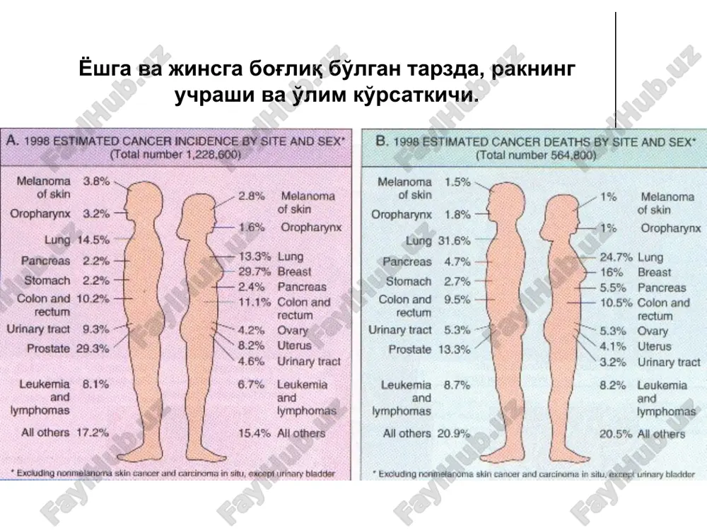 yada. xromosomali translokatsiyada genetik materialning qayta taqsimlanishi protoonkogenlarning ortiqcha ekspressiyasiga olib keladi, ammo ba'zi xolatlarda gen struktur o'zgarishlarga uchrashi mumkin. translokatsiya yuli orqali rivojlangan protoonkogenning ortiqcha ekspressiyasi berkitt limfomasi misolida yaxshi ko'rinadi. xromosomali translokatsiyada genetik materialning qayta taqsimlanishi protoonkogenlarning ortiqcha ekspressiyasiga olib keladi, ammo ba'zi xolatlarda gen struktur o'zgarishlarga uchrashi mumkin. translokatsiya yuli orqali rivojlangan protoonkogenning ortiqcha ekspressiyasi berkitt limfomasi misolida yaxshi ko'rinadi. berkitt limfomasida eng ko'p uchraydigan translokatsiya shakli s-mus tutuvchi 8 xromosoma segmentining, 14 xromosomaning q elkasidan 32-chi chiziqga o'tib ketishi bilan bog'liq. genlarning amplifikatsiyasi (sonining kupayishi, ikki barobar ortishi). protoonkogenlarni maxsulotlarnining ortiqcha ekspressiyasi bilan bog'liq aktivatsiyasi, dnkda reduplikatsiya va bir necha marotaba amplifikatsiya natijasida bulishi mumkin. shunday amplifikatsiyada usma xujayralarida bir necha yuz protoonkogenlar nusxalari ishlab chikilishi mumkin. kantserosupressorli genlar knudson (a.g.knudson) predpolojil, chto v sluchae nasledovaniya ot bolnogo roditelya peredaetsya odno geneticheskoe izmenenie - "perviy udar", kotoroe imeetsya vo vsex somaticheskix kletkax rebenka. v to je …