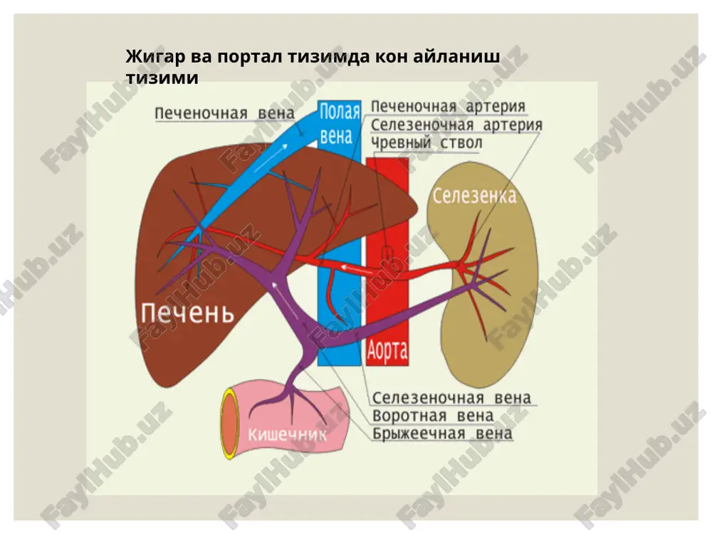 ls/notesslide75.xml.rels ppt/notesslides/notesslide76.xml ppt/notesslides/_rels/notesslide76.xml.rels ppt/notesslides/notesslide77.xml ppt/notesslides/_rels/notesslide77.xml.rels ppt/notesslides/notesslide78.xml ppt/notesslides/_rels/notesslide78.xml.rels ppt/notesslides/notesslide79.xml ppt/notesslides/_rels/notesslide79.xml.rels ppt/notesslides/notesslide80.xml ppt/notesslides/_rels/notesslide80.xml.rels ppt/notesslides/notesslide81.xml ppt/notesslides/_rels/notesslide81.xml.rels ppt/notesslides/notesslide82.xml ppt/notesslides/_rels/notesslide82.xml.rels ppt/slidelayouts/slidelayout1.xml ppt/slidelayouts/_rels/slidelayout1.xml.rels ppt/slidelayouts/slidelayout2.xml ppt/slidelayouts/_rels/slidelayout2.xml.rels ppt/slidelayouts/slidelayout3.xml ppt/slidelayouts/_rels/slidelayout3.xml.rels ppt/slidelayouts/slidelayout4.xml ppt/slidelayouts/_rels/slidelayout4.xml.rels ppt/slidelayouts/slidelayout5.xml ppt/slidelayouts/_rels/slidelayout5.xml.rels ppt/slidelayouts/slidelayout6.xml ppt/slidelayouts/_rels/slidelayout6.xml.rels ppt/slidelayouts/slidelayout7.xml ppt/slidelayouts/_rels/slidelayout7.xml.rels ppt/slidelayouts/slidelayout8.xml ppt/slidelayouts/_rels/slidelayout8.xml.rels ppt/slidelayouts/slidelayout9.xml ppt/slidelayouts/_rels/slidelayout9.xml.rels ppt/slidelayouts/slidelayout10.xml ppt/slidelayouts/_rels/slidelayout10.xml.rels ppt/slidelayouts/slidelayout11.xml ppt/slidelayouts/_rels/slidelayout11.xml.rels ppt/slidelayouts/slidelayout12.xml ppt/slidelayouts/_rels/slidelayout12.xml.rels ppt/slidelayouts/slidelayout13.xml ppt/slidelayouts/_rels/slidelayout13.xml.rels ppt/slidelayouts/slidelayout14.xml ppt/slidelayouts/_rels/slidelayout14.xml.rels ppt/slidemasters/slidemaster1.xml ppt/slidemasters/_rels/slidemaster1.xml.rels ppt/slidemasters/slidemaster2.xml ppt/slidemasters/_rels/slidemaster2.xml.rels ppt/slidemasters/slidemaster3.xml ppt/slidemasters/_rels/slidemaster3.xml.rels ppt/slidemasters/slidemaster4.xml ppt/slidemasters/_rels/slidemaster4.xml.rels ppt/
