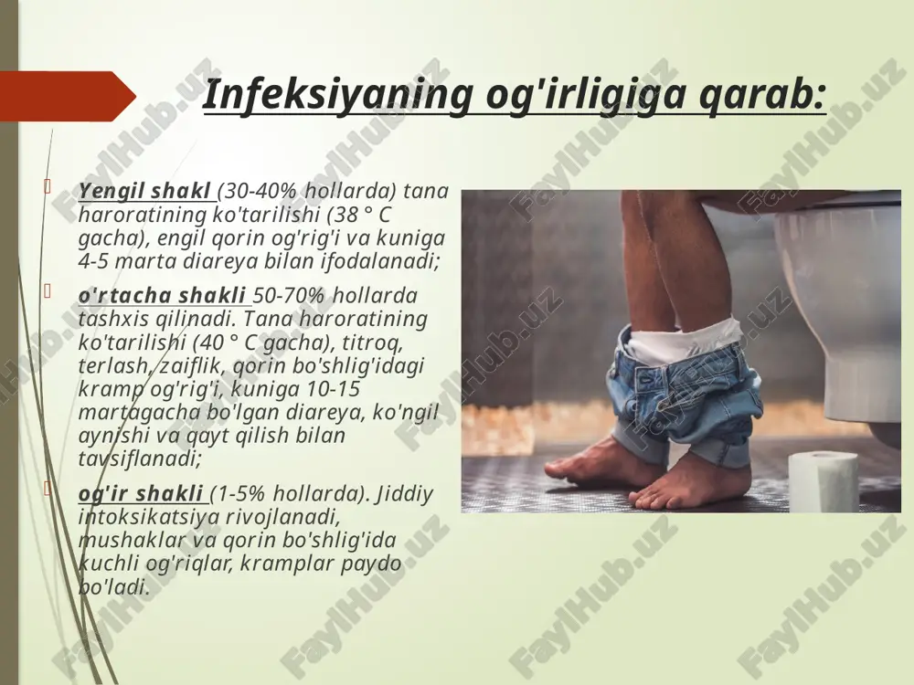 kampilobakterioz - Page 4