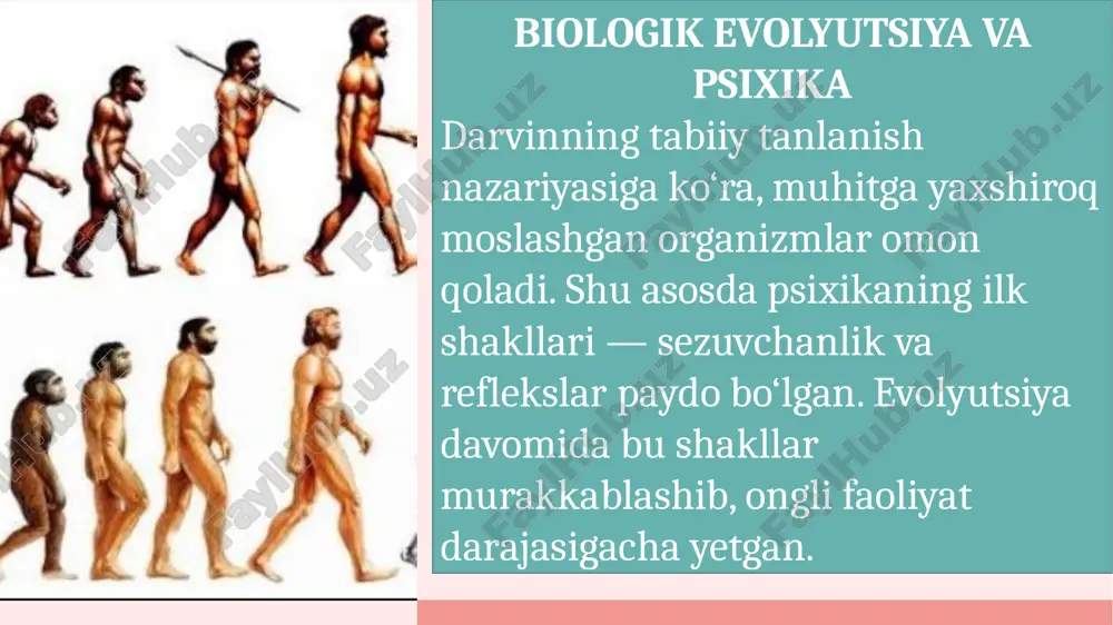 psixikaning evolyutsiyasi va vujudga kelishi - Page 4