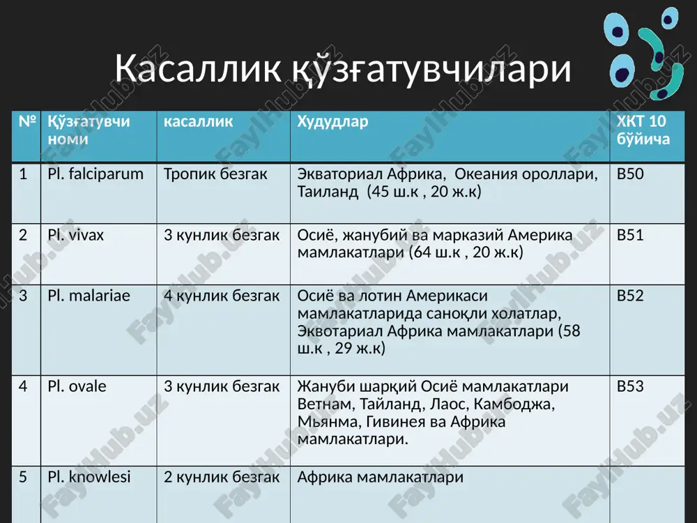 o'tmasdan, kasallik belgilarini tez muddatda namoyon qiladi. plazmodiy kasallik yuzaga chiqish davri pl. falciparum 7 – 12 kun pl. malariae 10 – 20 kun pl. vivax 7 – 8 kun pl. ovale 8 – 9 kuni bradi sporazoitlar ushbu sporazoitlar gepatotsit hujayralarida passiv xolatga o'tib, kasallik belgilarini qayta namoyon qiladi. plazmodiy kasallik qayta yuzaga chiqish davri pl. falciparum - pl. malariae - pl. vivax 4 yilgacha pl. ovale 1,5 – 15 oygacha klinikasi kasallikning klinikasi plazmodiy turiga qarab farqlanadi. bu jarayon plazmodiylarning eritrotsitar shizogoniya bosqichining davomiyligi bilan bog'liq xolatda 3 ta sindrom asosida kechadi: istima huruji, anemiya, gepatosplenomegaliya 4 ta qaytalanuvchi simptom pl.malariae , pl.vivax va pl.ovale parazitlari keltirib chiqargan kasallikda istima huruji sindromining 4 ta ketma – ket simptomlari : xarorat ko'tarilishi; qaltirash; terlash; apireksiya yaqqol namoyon bo'ladi. pl.vivax va pl.ovale 3 kunlik bezgak merozoitlarning eritrotsit xujayrasiga kirib, ko'payib, xujayrani yorib chiqishigacha bo'lgan vaqt davomiyligi 48 soatni tashkil etganligi …