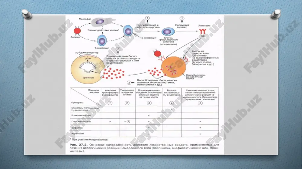 allergiyagakarshivositalar - Page 4