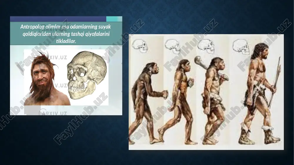 chdan mehnat qurollari yasashni o‘rgandilar. bu qurollar yordamida ov qilish, himoyalanish va boshqa yumushlarni bajarish ancha yengillashtirildi. aynan mehnat qurollari insoniyat tarixidagi birinchi texnologik taraqqiyot bo‘ldi. keyinchalik neolit davriga kelib, odamlar ishlab chiqaruvchi xo‘jalikka o‘tdilar. ular yerni haydab, don ekinlarini yetishtirish, chorva hayvonlarini qo‘lga o‘rgatish orqali oziq-ovqat zaxiralarini hosil qila boshladilar. bu esa ularning tabiatga qaramligini kamaytirib, mustaqil ravishda yashash imkonini berdi. shu bilan birga, doimiy yashash joylari, ilk qishloqlar paydo bo‘ldi. mehnat mahsulotlari ko‘paygani sari ortiqcha mahsulot paydo bo‘lib, almashinuv (savdo) munosabatlari yuzaga keldi. jamiyatda mehnat taqsimoti shakllana boshladi. ayollar asosan uy-ro‘zg‘or va dehqonchilik ishlarini, erkaklar esa og‘irroq mehnat turlarini — ovchilik, yer haydash, qurol yasash kabi ishlarni bajardilar. ixtisoslashuv — kimdir hunarmand, boshqasi chorvador, yana biri dehqon bo‘lib ajralib chiqdi. bu esa jamiyatda kasblarning shakllanishiga asos soldi. xulosa qilib aytganda, eng qadimgi odamlarning mehnat faoliyati — insoniyat taraqqiyotining boshlang‘ich nuqtasi bo‘lib, u orqali odamlar atrof-muhitga moslashdilar, tabiat bilan …