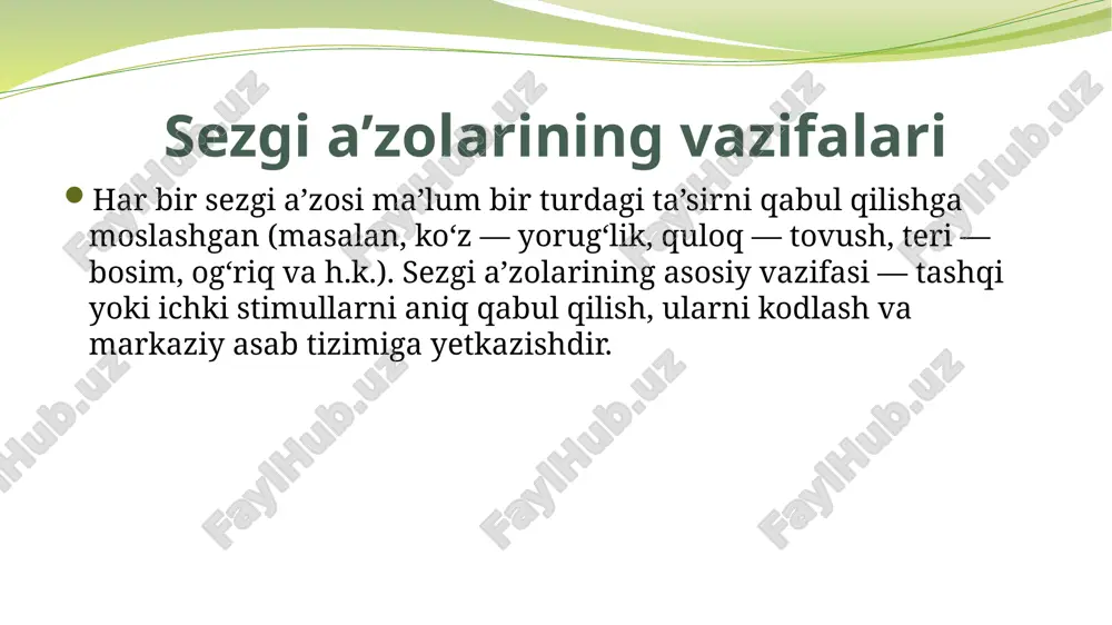 sensor (analizatorlar)tizimifiziologiyasi - Page 4