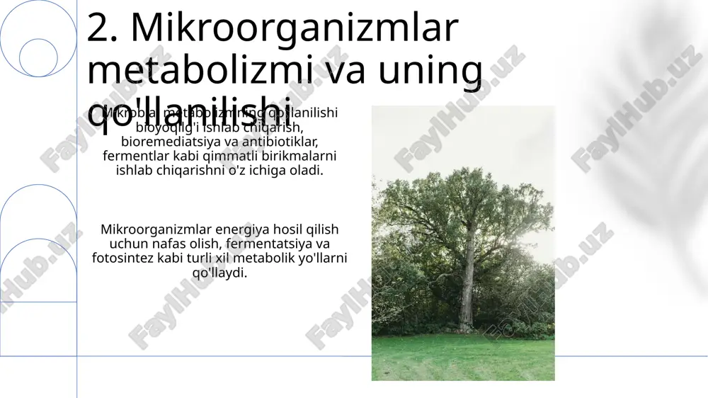 mikroorganizmlarda moddalar almashinuvi - Page 4