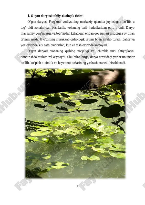ynida, yashil hududlarni barpo qilishda ishlatiladi. dendrologik kollektsiyalarning ayrim a’zolari esa global iqlim o’zgarishiga chidamliligi bilan ajralib turadi va ekologik barqarorlikni saqlashda muhim o’rin tutadi. botanika bog’i bu yo’nalishda respublika miqyosida noyob turlarni saqlash, genofondni tiklash va biologik resurslardan oqilona foydalanishga qaratilgan 11 tadqiqotlarni olib borishda muhim ilmiy platforma sifatida xizmat qiladi. bugungi kunda botanika bog’lari nafaqat ilmiy, balki ekologik-ma’rifiy markaz sifatida ham faoliyat yuritmoqda. bog’ hududida ekskursiyalar, ekologik treninglar, bolalar va talabalar uchun interaktiv darslar o’tkazilishi orqali aholining ekologik madaniyati oshirilmoqda. shuningdek, bu joylar ekoturizmni rivojlantirishda, ya’ni tabiatni asrashga yo’naltirilgan dam olish faoliyatini tashkil qilishda muhim maskan bo’lib xizmat qiladi. 12 tashrif buyuruvchilarga taqdim etiladigan maxsus ko’rgazmalar, axborot stendlari va belgilangan yo’nalishlar orqali o’simliklarning tabiiy muhitdagi o’rni, ahamiyati va ularga tahdid soluvchi omillar haqida tushunchalar beriladi. 3. amaliy kuzatuv natijalari va ilmiy tahlil amaliyot davomida talabalarga o’gan daryosi bo’yida joylashgan turli ekologik zonalarni ko’zdan kechirish, daryo atrofidagi o’simliklar tarkibini …