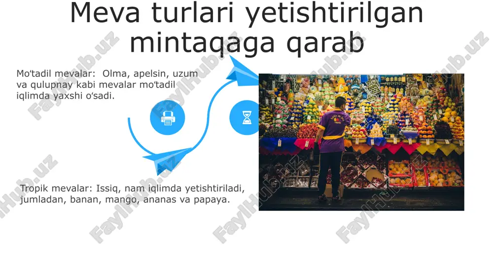 meva va uning tiplari - Page 4