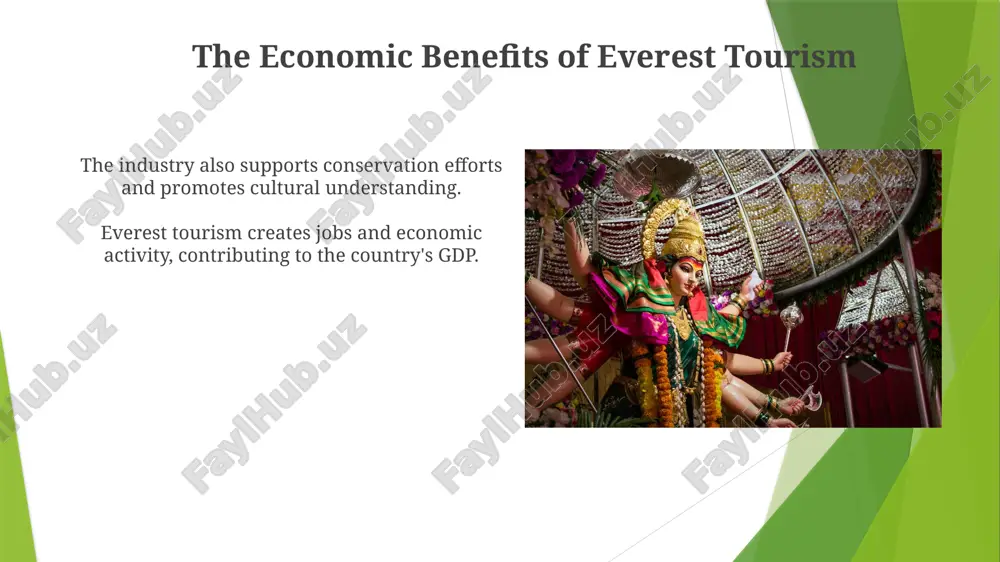 everest's impact on tourism - Page 4