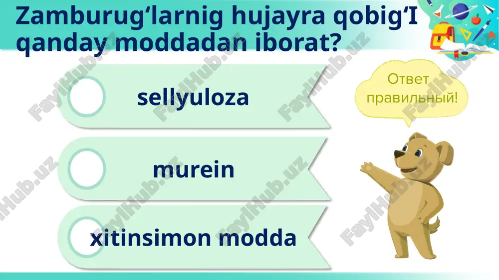 biologiya - Page 4
