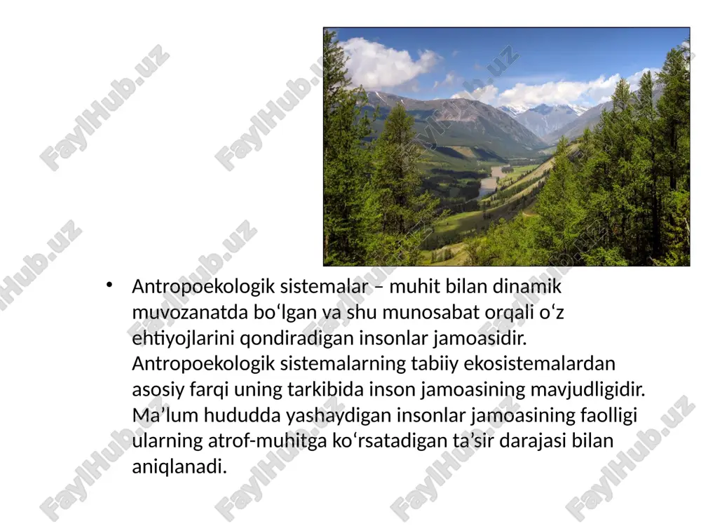 inson ekologiyasi - Page 4