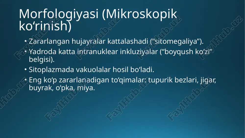 sitomegaloviruslarpatalogikanatomiya - Page 4