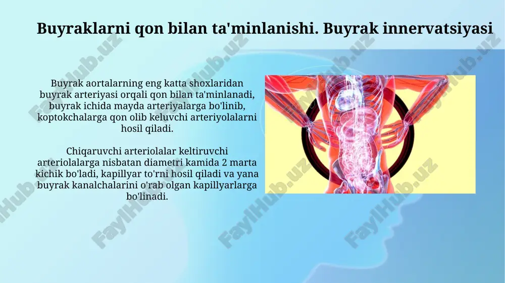 o'rilishiga ta'sir ko'rsatadi. vazopressinning miqdori qonda ortishi siydik hosil boʻlish jarayonini to'xtatib qo'yadi hamda siydikning qayta soʻrilishini kuchaytiradi, yetishmasligi oqibatida qandsiz diabet kasalligi kelib chiqishiga sabab bo'ladi. siydikning solishtirma og'irligi siydikning solishtirma og'irligi iste'mol qilinadigan suyuqlikka qarab o'zgaradi, ko'p suyuqlik ichilganda kamayadi, kam suyuqlik ichilganda esa, aksincha, 1010-1015 g/sm3 atrofida bo'ladi. siydikning solishtirma og'irligi, odatda 1.010 dan 1.025 g/ml gacha bo'lishi kerak; bu ko'rsatkich buyraklar konsentrlash va suyultirish qobiliyatini aks ettiradi hamda klinik ahamiyatga ega. nazorat uchun savollar nefron buyrakning morfologik va funktsional birligi boʻlib, shumlyanskiy-boumen kapsulasi va kanalchalaridan tashkil topgan. u po'stloq va mag'iz qismlarida joylashgan bo'lib, qonni filtrlaydi. buyrakda qon aylanishi xususiyatlari ikki kapillyar toʻridan iboratdir: koptokcha kapillyarlari va buyrak kanalchalarini oʻrab olgan kapillyarlar. bu bosimni tartibga solish orqali filtrlashni ta'minlaydi. e'tiboringiz uchun rahmat image2.png image3.jpg image4.jpg image5.jpg image6.jpg image7.jpg image8.jpg image9.jpg image10.jpg image11.jpg image12.jpg image13.jpg image14.jpg image15.jpg image16.jpg image17.jpg image18.jpg image19.jpg image1.png