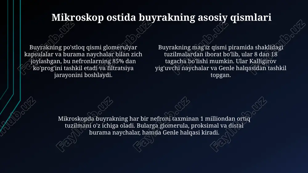 poyaning ichki tuzilishini mikroskop ostida kuzatish - Page 4