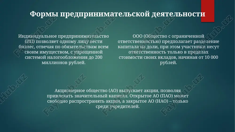 predprinimatelskaya deyatelnost i ee formi - Page 4