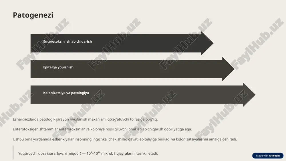 sol, laktosol, acesol, trisol va boshqalar. og‘iz orqali regidratatsiya oralit, regidron (o‘tkir suvsizlanish belgisi bo‘lmasa afzal). qo‘shimcha terapiya ferment preparatlari: festal, panzinorm, pankurmen, atsidinpepsin va boshqalar. enterosorbentlar: enterodez, polifepam va boshqalar. eubiotiklar: (disbakteriozni tuzatish uchun) biosporin, baktisporin, kolibakterin, bifidumbakterin va boshqalar. agar degidratatsion shok rivojlansa, intensiv infuzion terapiya o‘tkaziladi. kasalxonadan chiqarilish faqat to‘liq klinik sog‘ayishdan so‘ng, bakteriologik tekshiruv natijalari manfiy bo‘lganda amalga oshiriladi. tuzalgan bemorlar keyinchalik infeksion kasalliklar dispanserida kuzatuvda bo‘ladilar. 9 prognoz va profilaktika prognoz koliinfeksiya odatda kattalarda qulay tarzda kechadi. kasallikning surunkali shaklga o‘tishi kuzatilmaydi. biroq, bolalar jamoalarida og‘ir suvsizlanish sindromi (degidratatsion shok) kuzatilishi mumkin. u o‘z vaqtida bartaraf etilmasa, o‘tkir buyrak yetishmovchiligiga sabab bo‘lishi mumkin. asossiz va uzoq muddatli antibiotikoterapiya disbakteriozga olib kelishi mumkin. profilaktika va chora-tadbirlar esherixiozlarning oldini olishning asosi — jamoat ovqatlanish va suv ta’minoti obyektlarida qat’iy sanitariya-gigiyena talablariga rioya qilishdir. bolalar muassasalarida kontakt-maishiy yo‘l bilan yuqishning oldini olish muhimdir. esherixiozlar uchun maxsus (spetsifik) profilaktika …
