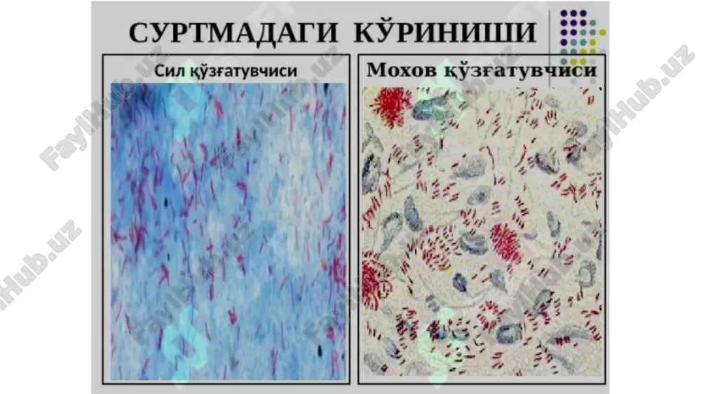 moxov - Page 4