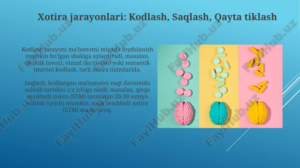liq bo‘lib, miyadagi tiamin (b1 vitamini) yetishmasligi natijasida kelib chiqadi, bu esa xotira qobiliyatiga jiddiy zarar yetkazadi. retrograd amneziya korsakov sindromining asosiy belgilaridan biri hisoblanadi, bu esa bemorning xastalik boshlanishidan oldingi voqealarni eslay olmasligini anglatadi va xotira qayta tiklanishiga xalaqit beradi. xotira buzilishlariga olib keluvchi boshqa omillar qalqonsimon bezning gipotiroidizmi kabi endokrin kasalliklar metabolik jarayonlarni sekinlashtiradi va bu kognitiv funktsiyaga, shu jumladan, xotiraga salbiy ta'sir qilishi mumkin, taxminan 15-20% hollarda. vitamin b12 yetishmovchiligi miyelin qobig'iga zarar etkazadi, nerv signallarining uzatilishini buzadi va xotira muammolariga olib keladi, ayniqsa 50 yoshdan oshgan 10-25% odamlarda. xotirani yaxshilash strategiyalari xotirani yaxshilash uchun 10 dan 20 daqiqagacha bo'lgan davrlarda takrorlash, ma'lumotni uzoq muddatli xotiraga mustahkamlashga yordam beradi, ayniqsa murakkab faktlar uchun samarali. esdaliklar yaratish, masalan, telefon raqamini yodlash uchun har bir raqamga tasvirlar biriktirib, ularni vizual hikoyada birlashtirish, xotirani 30-40% ga oshirishi mumkin. e'tiboringiz uchun rahmat image1.png image2.jpg image3.jpg image4.jpg image5.jpg image6.jpg image7.jpg image8.jpg image9.jpg …