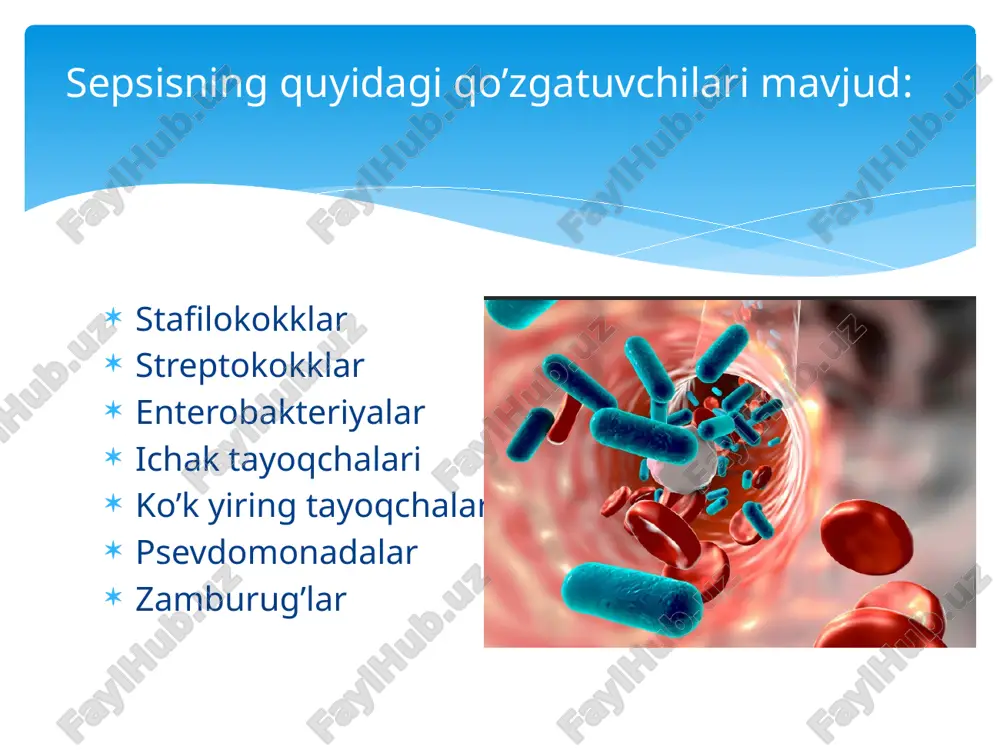 sepsisziyopatologiya - Page 4