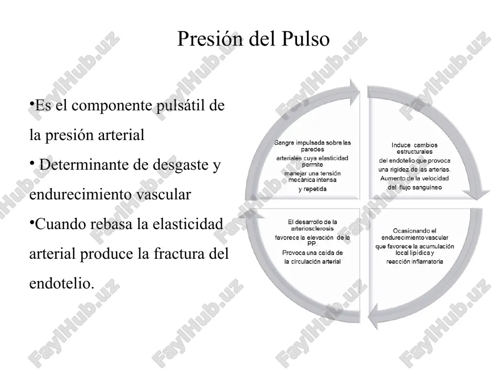 síndrome metabólico - Page 4