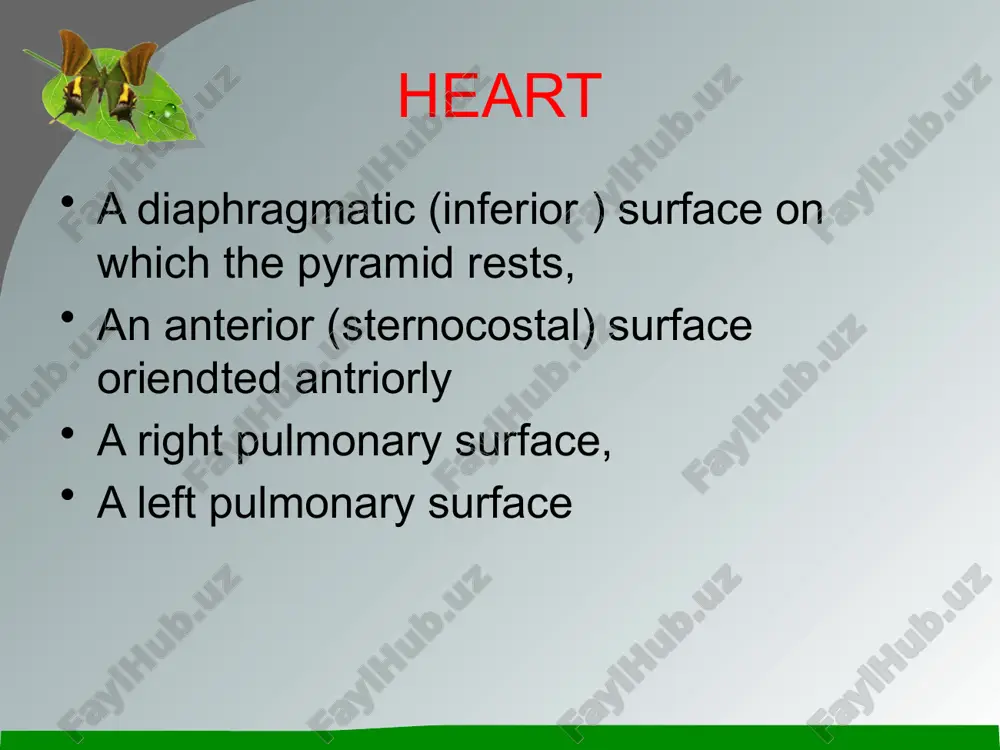 heart diagram - Page 4