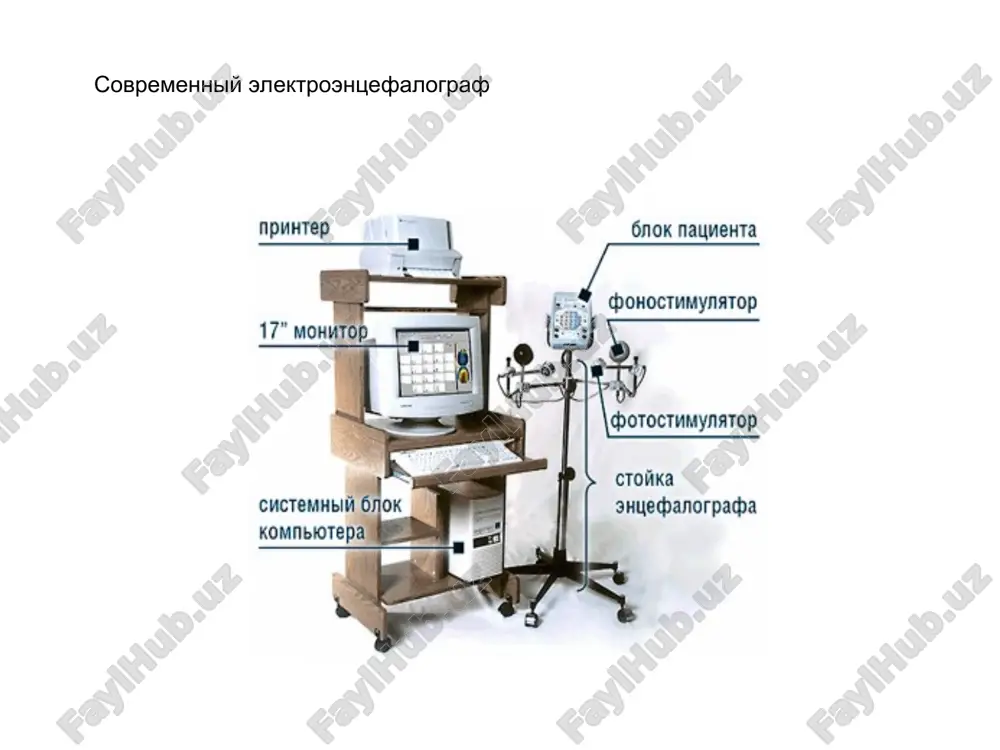 elektroentsefalografiya - Page 4