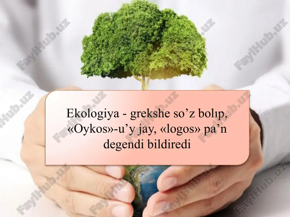 ekologiyag'a tiyisli bilimlerdagi qaliplesiwi - Page 4