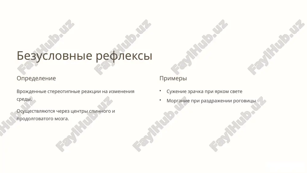 безусловные и условные рефлексы - Page 4