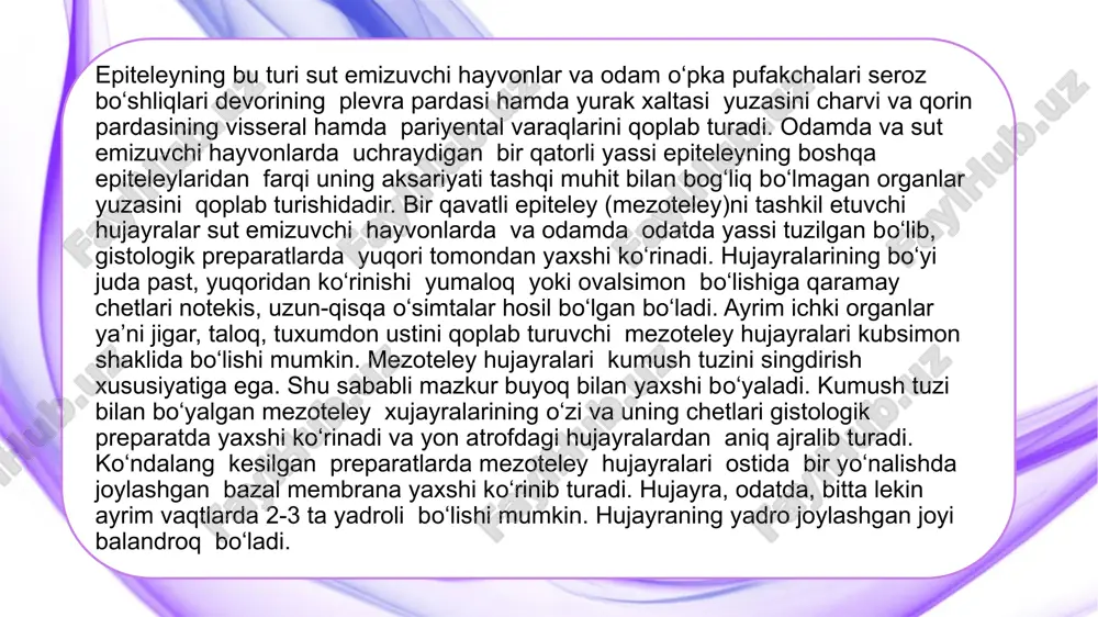 nligini kо‘rsatdi. bu tо‘qima tarkibida silindirsimon va oraliq hujayralardan tashqari bir hujayrali qadahsimon bez ham uchraydi. kо‘p qatorli kiprikchali (hilpillovchi)epiteliy 1- hujayra kiprikchalari, 2 – qadahsimon bez hujayralari, 3-kiprikchali hujayralar, 4- uzun qо‘shimcha hujayralar, 5-kalta qо‘shimcha hujayralar, 6-bazal membrana, 7-biriktiruvchi tо‘qima. kо‘p qavatli muguzlanmaydigan yassi epiteliy. epiteliyning bu xili umurtqali hayvonlarning og‘iz bо‘shlig‘i, qizilо‘ngach devorlari, burunning kirish qismi va kо‘z shox pardasini qoplab turadi. preparat tayyorlash uchun kо‘z soqqasi muguz pardasidan tayyorlanadi. ma’lumki, teri asosan ikkita qalin qavatdan tuzilgan. birinchisi, tashqi epiteliy hujayralardan tashkil topgan epidermis, ikkinchisi uning ostida joylashgan asosiy qavat dermadir. ularni о‘rtasida bir-biridan ajratib turuvchi bazal membrana joylashgan. epidermisning о‘zi esa bir necha qavatni tashkil etuvchi epiteliy hujayralardan iborat. har bir qavat hujayralari morfologik tuzilishi va vazifasiga kо‘ra bir-biridan farq qiladi. epidermis 4-5 qavat hujayralardan tashkil topgan. terining tuk bо‘lmagan qismiga kaft va tovon yuzalari kiradi. bu joylarda epidermis 5 qavatdan iborat. epidermisning qolgan qismi 4 qavatdan …