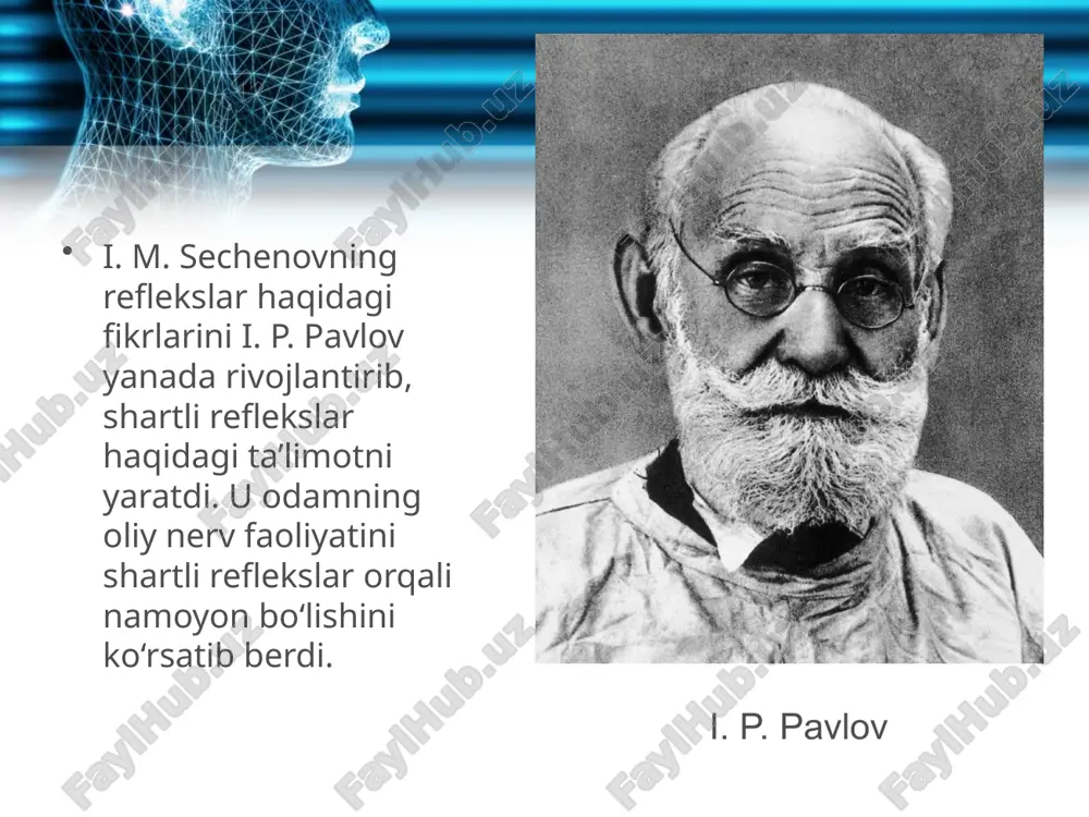 irlar ana shu sezgi organlariga ta’sir etishi natijasida paydo bo‘lgan shartli reflekslar birinchi signal sistemasining shartli reflekslari, deb ataladi. masalan, svetoforning yashil va qizil chirog‘ining yonibo‘chishi, darsga kirish va chiqish qo‘ng‘irog‘ining tovushi, ovqatning ta’mi va hidi kabilarga shartli reflekslarning hosil bo‘lishi. ikkinchi signal sistemasi, hayvonlardan farqli o‘laroq, odamda og‘zaki va yozma nutqning mavjudligidir. og‘zaki va yozma nutqning ma’nosiga qarab odamda har xil shartli reflekslar hosil bo‘ladi. og‘zaki nutq bosh miya po‘stloq qavatining chakka sohasidagi eshitish markaziga, yozma nutq esa bosh miya po‘stloq qavatining ensa sohasidagi ko‘rish markaziga ta’sir qiladi. savol va topshiriqlar oliy nerv faoliyati haqida nimalarni bilasiz? shartsiz va shartli reflekslar bir-biridan qanday farq qiladi? shartli reflekslarning tormozlanishi qanday o‘tadi? refleks turlariga misollar keltiring. musbat va manfiy reflekslar orasida qanday farq bor? misollar yordamida aytib bering. image2.jpeg image3.jpeg image4.jpeg image5.jpeg image6.jpeg image7.jpeg image8.jpeg image9.jpeg image10.jpeg image11.jpeg image12.gif image13.jpeg image14.gif image15.gif image1.jpeg /docprops/thumbnail.jpeg