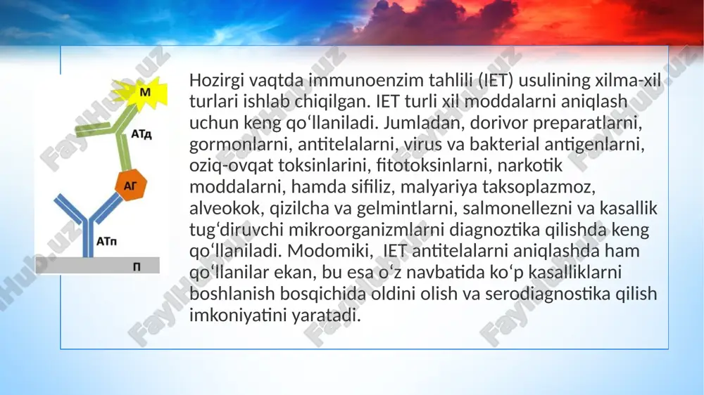 sh ana shu kolibrovka asosida ko‘rsatib beriladi. bu usullarni xam bir kancha gruppalarga bulish mumkin. . immebilizatsiyalangan antitela va antigen-ferment kan’yugatlarini kullash. aniklash uchun uch boskichda olib boriladi:birinchi boskichda anti- telaferment ken’yugatlarini ma’lum mikdori aniklanyotgan antigen bor namuna bilan aralashtiriladi./-rasm/. keyingi boskichda immobilizatsiyalangan antitelalar bilan bu aralashmani uzaro ta’sirida ikkala antigen nishonlangan vanishonlanmagan fermentning aralashmadagi proporsional mikdori ishtirok etadi.uchynchi boskichda substrat bilan reaksiyani ikkita usuldan birida yo boglanmagan kon’yugat molekulalari bilan, yoki immobilizatsiyalangan antitela boglangan ferment molekulasi bilan utkazish mumkin. reaksiyani ustunli /kolonochniy/ tarzda o’tkazish qulay. antitelalar bilan immobilizatsiyalangan tashuvchi mikrokolonkaga joylashtiriladi.avvalam bor tashuvchidagi antitelalar mikdoriga ekvivalent bulgan anti¬gen-antitela kon’yugatlarini mikdori aniklanadi./bu tajriba kolonka orkali fermentativ aktiv kon’yugat chikmaguncha, nishonlangan antigenning oshib boruvchi mikdori utkaziladi/. oldindan antigenni ekvivalent mikdori topilgandan sunggina aniklashni uziga utiladi. kolonka orkali aniklanayotgan antigen tutgan namuna utkaziladi. sungra u yuvilgandan keyin, xuddi shu kolonka orkali antigenlarni fermentli ken’yugatlarini ekvivalent mikdoridagi eritmaga utkaziladi. aniklanayotgan namunada antigen kancha …