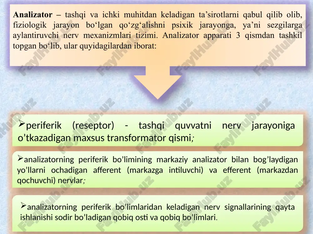 sak bo‘ladi. formulasi: e= 1_ p1 е – sezgirlik р- qo‘zg‘atuvchining ta’sir me’yori. sezgining mutlaqo yuqori sezuvchanligi deb qo‘zg‘atuvchining kuch bilan ta’sir qilishiga aytiladi. sezgilar o‘rtasidagi bilanar–bilinmas farqni hosil qiluvchi ikkita qo‘zg‘atuvchi o‘rtasida mavjud bo‘lgan minimal farq ajratish chegarasi yoki ayirma chegarasi deb ataladi. farqlanishning aksariyat analizatorlari uchun doimiy bo‘lgan nisbiy o‘lchash bilan belgilanadi. nemis fizigi g.fexner (1801-1887) veber o‘tkazgan tajribalarda olingan ma’lumotlarga asoslanib, sezgilarning jadalligi qo‘zg‘atuvchining kuchiga bog‘liqligini quyidagicha shaklida ifodalangan edi. s = klg j +c bunda s – sezgining jadalligini, j – qo‘zg‘atuvchining kuchini, k va c konstantlar o‘zgarmas, doimiyligi va miqdorlarni bildiradi. psixofizik qonun nomi bilan yuritiladigan qonun quyidagicha izohlanadi. sezgining jadalligi qo‘zg‘atuvchi kuchining logarifmiga proporsionaldir. yoki qo‘zg‘atuvchining kuchi geometrik progressiya yo‘li bilan osha borgan taqdirda sezgilarning jadalligi arifmetik progressiya yo‘li bilan oshadi. bu qonun veber - fexner qonuni ham deb ataladi adaptatsiya – yoxud moslashuv – sezgi organlari sezgirligining qo‘zg‘atuvchi ta’siri ostida o‘zgarishi demakdir. adaptatsiya …
