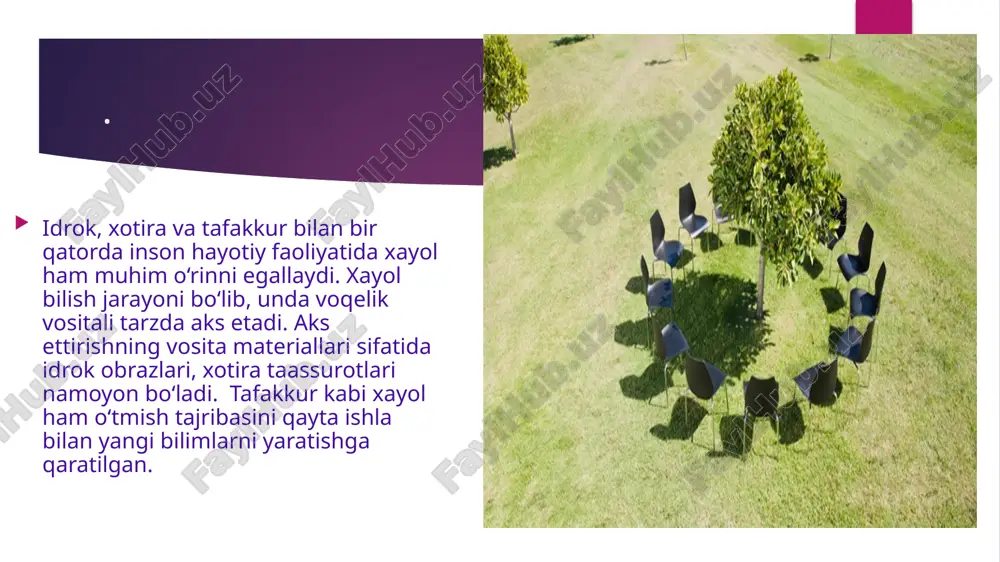 xayol va uning fiziologik asoslari - Page 4