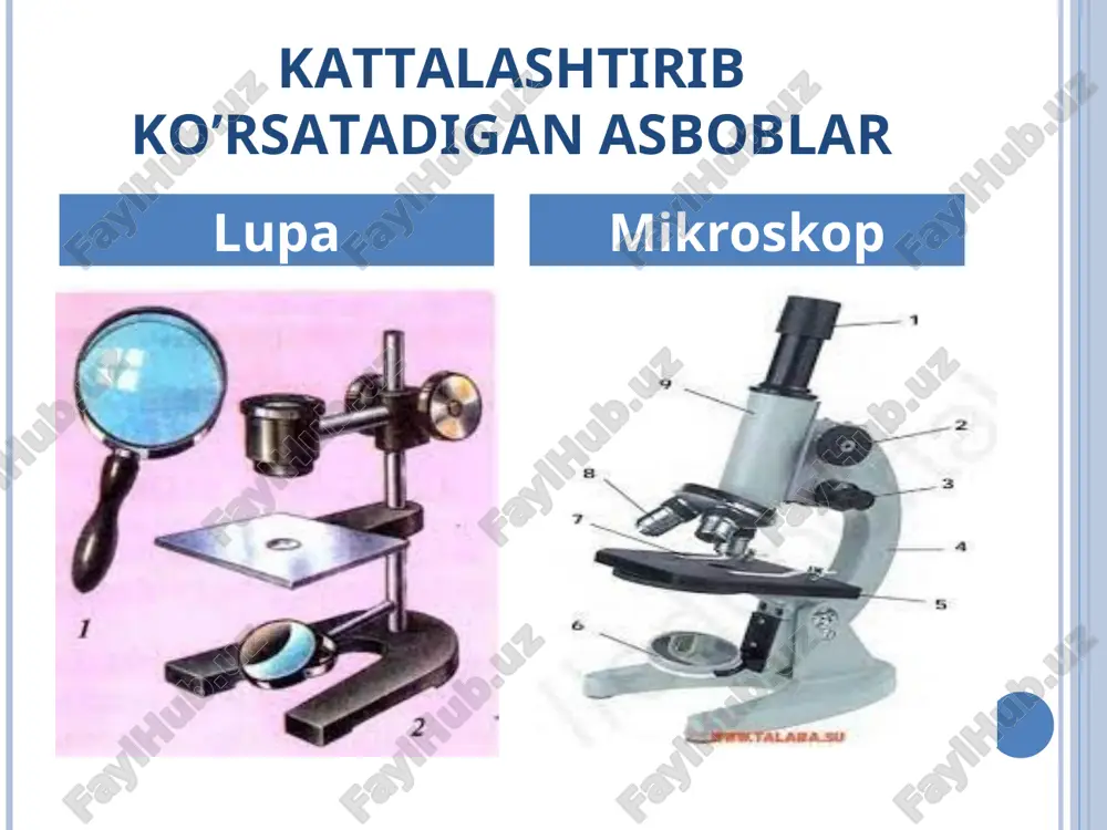 ning yuradigan tomoniga yoki uning teskari tomoniga buriladi. mikropreparatning tarkibiy qismini aniqrok ko'rish uchun mikrometrik vintni ham shuning singari burash kerak. shuningdek mikrometrik vintni ishlatib, preparatning chuqur sathidagi elementlarni ham yaxshi ko'rish mumkin. revol ver. bu aylanadigan to'garak diskdan iborat bo'lib, tubusning ostida o'rnatilgan. diskning ostida 3 ta, ba'zan 4 ta turli katta-kichiklikdagi to'garak uyalari bo'ladi. bu uyalarga har xil darajada kattalashtirib ko'rsatadigan zapas ob'yektivlar o'rnashtiriladi. gistologik tekshirilishlarda diskni aylantirib, ob'yektlarning keragini ko'rish mumkin. 8 mikroskopning tuzilishi: 1-taglik 2-shtativ dasta 3-tubus 4-makrovin 5-mikrovint 6-revoler 7-buyum stolchasi 8-buyum oynachasi 9-ko’zgu 10-kondinser diafragmasi 11-obektiv 12-okulyar mikroskop turlari 1.qorong’u maydonli mikroskopda ko’rish. bu mikroskopning tuzilishi va unda preparatlarni ko’rish prinsipi yorug’ maydonli mikroskopdagi bilan deyrali bir xil bo’lib, u tirik hujayra va to’qima tuzilmalrini o’rganishga mo’ljallangan.unda hujayraning qorong’u maydonda ko’rish maxsus konditsor yordamida amalga oshiriladi, yani yorug’lik nuri konditsor maydonda obektga qiyalatib tushiriladi. bunda obekt yorishib maydon qorong’uligicha qoladi. tirik hujayra tarkibiga tuzilmalar …