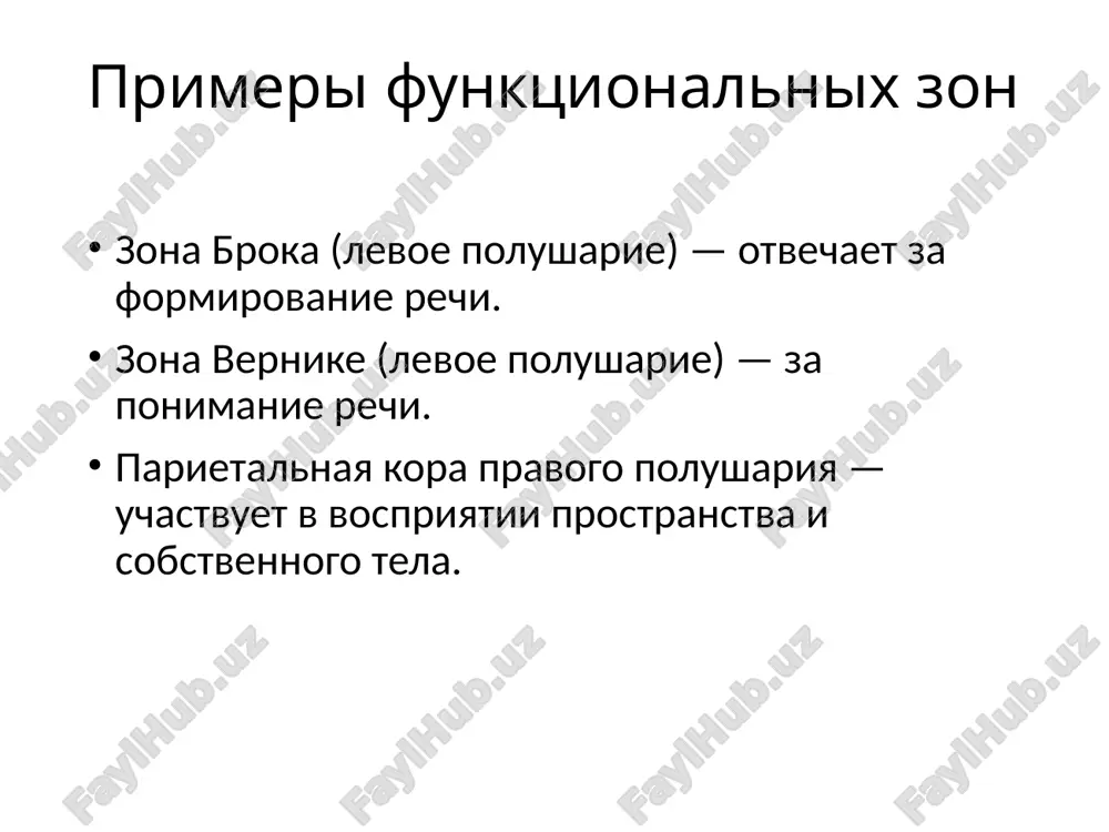 асимметрия полушарий - Page 4
