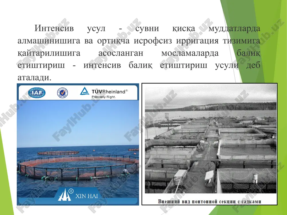 сисларнинг келиши кутилмоқда. шу ўринда таъкидлаш жоизки, бу усулда жуда кўп иш ўринлари ҳамда балиқ маҳсулотларини қайта ишлаш имкониятлари яратилади. ўринли гапни айтадиган бўлсак, тирик балиқ сотиш минимал даромад келтиради, асосий фойда қайта ишлашда. балиқ боқиш учун бир ишчи ўрни яратилган бўлса, бир ишчи етиштирган балиқни қайта ишлашда 30 ишчи ўрни яратилади. вилоятимиз учун бу усулнинг яна бир устунлик томонлари шундаки, бизда сув имкониятлари чексиз эмас, чегарали. шундай шароитда садок усулда балиқларни зич ҳолатда парваришлаш бизнинг шароитимизга жуда ҳам мос ва қулай ҳисобланади. фақатгина зич ўстиришга мос бўлган балиқ турларини кўпайтириш, изланиш талаб этилади, холос. сўнгги даврлардаги маълумотларга қараганда, африка лаққаси зич ўстиришга мос бўлиб, 6-8 ойда бир килограммгача ўсади. бугунги кунда вилоят миқёсида «африка лаққаси» парваришлаш тажрибалари олиб борилмоқда. ўрни келиб бу борада ҳам чуқурроқ тўхталамиз. хулоса қилиб айтадиган бўлсак, вилоятимиздаги балиқчилик соҳасида амалга оширилаётган ишларнинг натижалари бугун бозорларимизда кўрина бошлади. галдаги натижалар эса одамларимизнинг соғлиғида кўринади.