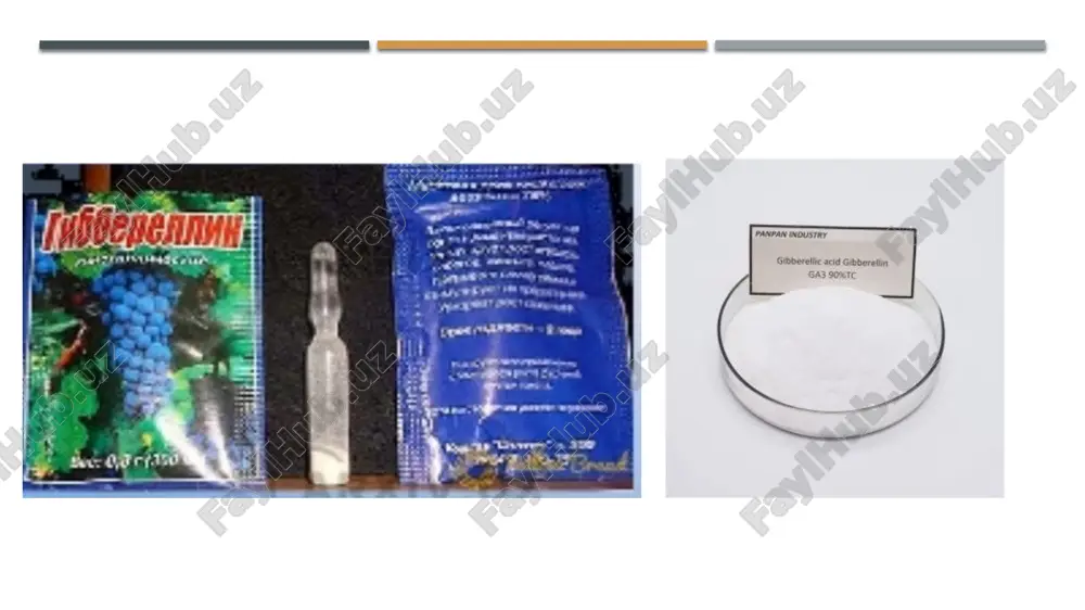 mumkin. bu, o'simliklar orasidagi murakkab o'zaro aloqalarni tushunishga yordam beradi. zamonaviy texnologiyalar va bioinformatika fitogormonlarni o'rganishda yangi imkoniyatlar yaratadi. bu, o'simliklar haqidagi bilimlarni kengaytirishga xizmat qiladi. e'tiboringiz uchun rahmat! image1.jpeg image2.jpeg image3.jpeg image4.jpeg image5.jpeg image6.jpeg image7.jpeg image8.jpeg image9.jpeg image10.jpeg /docprops/thumbnail.jpeg