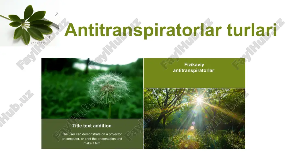 antitranspiratorlar va ularning ta'sir etish mehanizmlari - Page 4