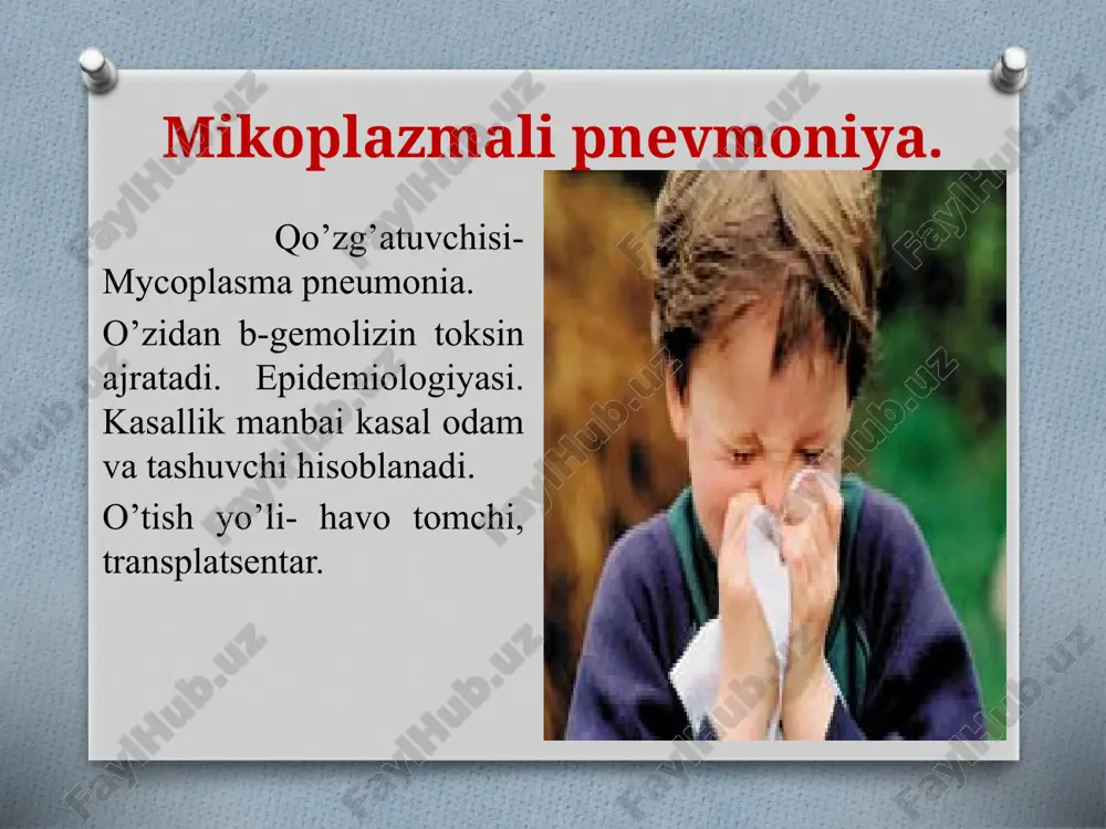aerogen, ko’krak suti orqali, yatrogen yuqadi. virus qonda,servikal va vaginal sekretlarda, spermada, ko’krak sutida, so’lak, peshob, najasda, yosh suyuqligida aniqlanadi. klinika. tug’ma smvi generallashgan xarakterga ega. o’pkadan tashqari zararlanish –ensefalit, gepatit, ko’z zaralanishi (xorioretinit, katarakta, ko’z nervi atrofiyasi), buyrakdagi o’zgarishlar kiradi. asosiy simptomlar: taxipnoe; dispnoe; xurujsimon yo’tal; gipoksiya. paraklinik ma’lumotlar: progressivlanivchi anemiya retikulositoz bilan, gemorragik sindrom, sariqlik. diagnostika. so’lak va peshobda smvni aniqlanishi. bundan tashqari: immunoferment usul; radioimmun; immunli bloting. davolash. spetsifik davolash: nukleozid analoglari : sitobarin.(100mg/kv) zoviraks (asiklovir) immuno almashinuv terapiya. (gamma-globulin, immunoglobulin- pentaglobullin, sandoglobullin). image5.jpeg image6.jpeg image7.jpeg image8.jpeg image9.jpeg image10.jpeg image3.jpeg image4.png
