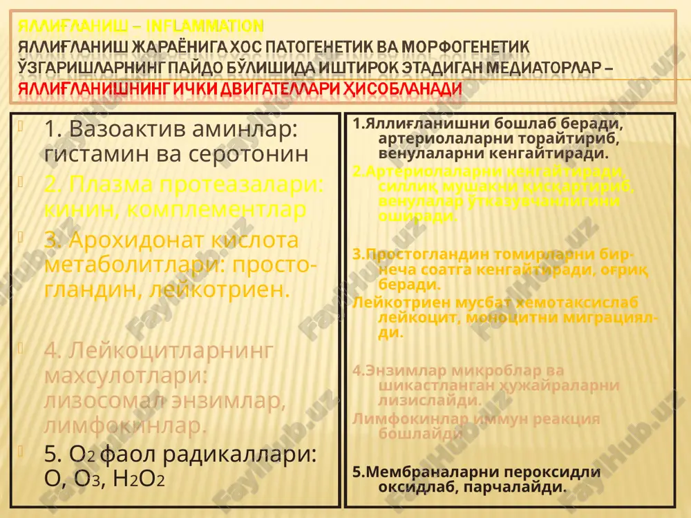 дуктив-инфильтратив, иккиламчи даврда эксудатив реакция терида кузатилиб, окиш спирохетанинг тез таркалишига олиб келади. учламчи даврда / гуммоз куриниш/ продуктив-некротик жараёнлар специфик гуммалар куринишида юзага чикади. махов касаллигида типик шаклида продуктив яллигланиш специфик лепраматоз инфильтратлар ва гранулёмалар куринишида булади. махов таёкчалари одатда гранулёмада хам хужайра ичида, хам хужайрадан ташкарида жойлашади. купинча улар гигант макрофагларда шарах, вирхов хужайраларида учрайди. вирхов хужайрасида микобактериялар худди “ пачкадаги сигарета” ларга ухшаб жойлашган булади. манқа касаллигида нейтрофил лейкоцитлар аралаш эпителиоид хужайралардан иборат гранулёмалар пайдо булади. бу тугунчалар купинча тез некрозга учраб, йиринг бойлаб ириб кетади. склерома касаллигини волкович-фриш таёкчаси чакиради. гранулёма купинча буруннинг шиллик пардасида ривожланади. пролифератив учогида плазматик, эпителиоид ва лимфацитлар купаяди. хужайралар орасида гиалин шарлари куп булади. цитаплазмаси оч рангда булган йирик хужайралар / микулич хужайралари/ пайдо булади.