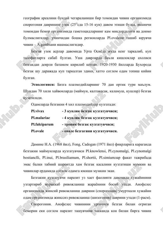 спороциста ерилиб, спорозоитлар сулак бези оркали ажрала бошлайди. спорогония даври pl.vivaxда – 10 кун, pl.falciparumда – 12 кун, pl.ovale, pl.malariaда – 16 кун давом этади. шундай чивин соглом инсонни чакканда кон суриши билан бирга инсон организмига спорозоитларни юктиради ва инсон организмида жинссиз ривожланиш (шизогония) даври бошланади. шизогония: инсон организмида безгак кузгатувчиси хужайра шизогония ва эритроцитар шизогония даврини утади. спорозоитлар инсон конига тушгач ярим соат давомида конда айланиб юрадилар. сунгра гепатоцитлар ичига кира бошлайдилар. гепатоцитларда хужайра трофозоити ва хужайра шизонди даврини босиб утиб хужайра меразоити давригача ривожланади. бунда pl.vivaxда 1та спорозоитдан 10000тагача, тропик безгакда 40000-50000тагача, турт кунлик безгакда эса 75000тагача, овале безгагида 15000тагача мерозоитлар хосил булади. купайиш булиниш йули билан булади. хужайра шизогония даври уч кунлик безгакда 6 кун, тропик безгакда 8 кун, овале безгагида ва турт кунлик безнакда 15 кун давом этади. бундай киска вакт ичида хужайра шизогонияси даврини тугалланиши тахиспорозоитларга таълукли, pl.vivax спорозоитлари политипик булгани учун (уларнинг маълум бир …