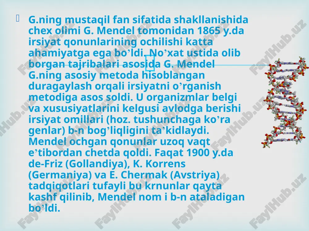 n kashf etgan qonuniyat g.ning toʻrtinchi fundamental qonuni hisoblanadi. biroq birikkan holda irsiylanish mutlaq boʻlmasdan, bir qancha hollarda avlodda ota-ona belgilariga nisbatan ajralish roʻy beradi. bu hodisa gomologik xromosomalarning chalkashuvi (krossingover), yaʼni ikkita xromosoma ayrim qismlarining oʻzaro oʻrin almashinishi natijasida sodir boʻladi. bu sohadagi i. t.lar tufayli xromosomalarda genlarning joylashish tartiblari aniqlandi, yaʼni xromosomalarning genetik haritalari tuzildi. xromosomalarning genetik haritalari  diskret nasldorlik va mendel qonunlari punnett kvadratida ikki no’xat o’simligining pushti (b) va oq (b) g’unchalari geterozigotik bog’langanligi ko’rsatilgan.  organizmlardagi nasldorlikning fundamental birligi «gen» deb ataluvchi diskret vositalardir. bu fundamentallikni ilk bor gregor mendel kuzatdi; u no’xat o’simligidagi nasldorlikni o’rganayotgan edi. u o’z tajribalarida no’xat gullari doimo yo pushti, yoki oq bo’lishini, va hech qachon aralash rangli bo’lmasligini aniqladi. genning ushbu farqli shakllari «allellar» deb ataladi. no’xat gullari bilan bog’liq vaziyatda har bir organizm har bir gendan ikkitadan allelga ega va bir o’simlikka bir ajdoddan bitta allel o’tgan. …