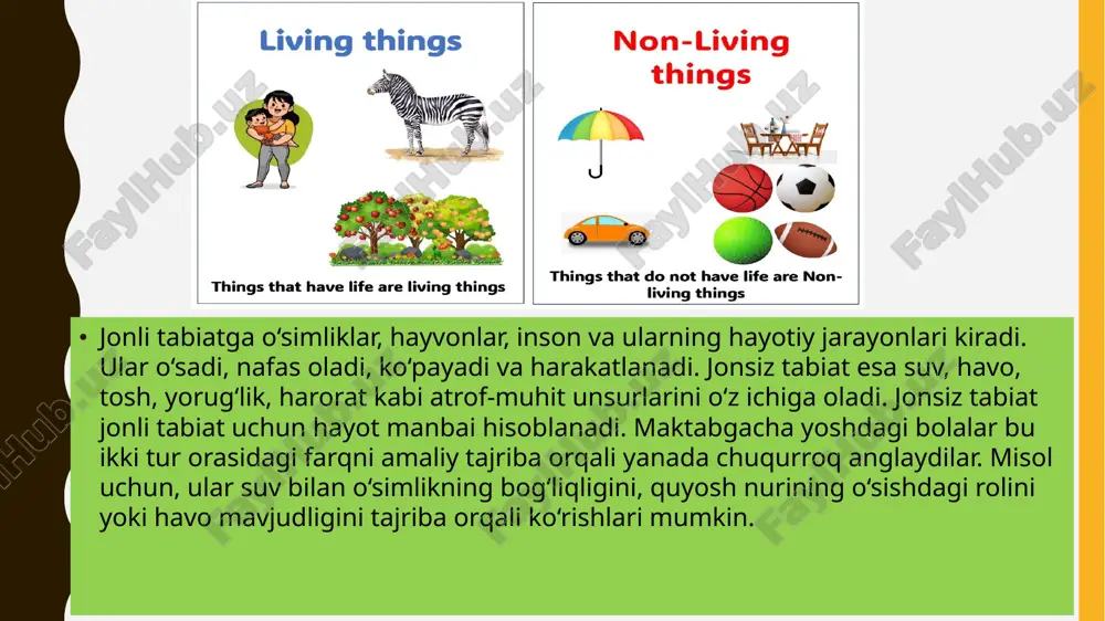 ilmiy qiziqish, tabiat hodisalarini tushunish, mustaqil tahlil qilish, mantiqiy fikrlash va ijodiy ifoda qilish qobiliyati shakllanadi. ular jonli va jonsiz tabiat o‘rtasidagi bog‘liqlikni anglaydilar, tabiatga mehr bilan qarashadi va ekologik madaniyatni egallaydilar. shu bilan birga, ular kelajakda o‘qishga, izlanishga va yangi bilimlar olishga tayyor bo‘lgan faol shaxslar sifatida shakllanadilar. xulosa xulosa qilib aytganda, steam ta’lim texnologiyasi asosida jonli va jonsiz tabiat bilan tajribalar o‘tkazish maktabgacha ta’limda ilmiy tafakkurni shakllantirishning eng samarali usullaridan biridir. tabiat bilan bevosita ishlash bolaga bilimni o‘z tajribasidan kelib chiqib anglash imkonini beradi. bunday ta’lim jarayoni natijasida bola tabiatni sevuvchi, kuzatuvchan, tahlilchi va ijodkor shaxs sifatida shakllanadi. e’tiboringiz uchun raxmat! 16 image1.png image2.png image3.png image5.png image2.svg image8.png .msftofcthm_accent1_fill { fill:#4472c4; } /docprops/thumbnail.jpeg
