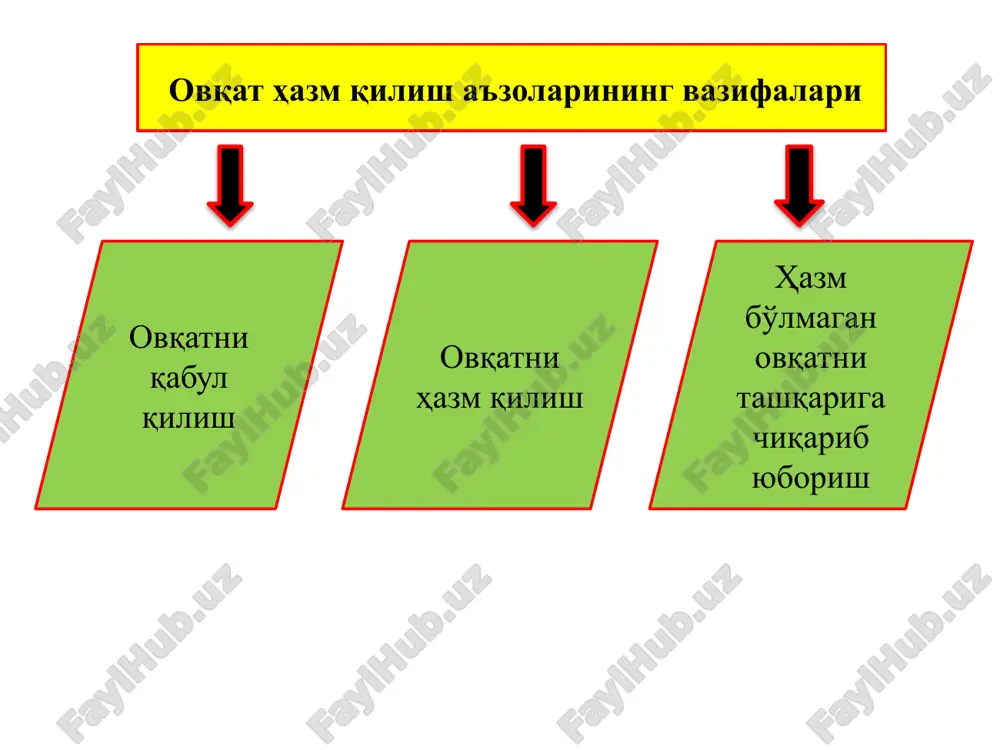 бида ҳайвон маҳсулотлари билан бир қаторда маълум нисбатда ўсимлик маҳсулотлари ҳам бўлиши керак. болалар овқатланадиган хона озода ва шинам, идиш-товоқлар чиройли, бир хил ранг ва шаклда, овқатлар турли-туман, мазали, шароит қулай ва тинч бўлиши керак. боланинг кундалик таомида турли сабзавотлар ва мевалар кўпроқ бўлиши лозим. чунки улар витаминлар ва минерал моддалар манбаи бўлиб, буларсиз боланинг ўсиши ва ривожланиши мумкин эмас. дастурхон атрофига ўтиришдан олдин қўлни яхшилаб ювиш керак. овқатни аста-секин ва яхшилаб чайнаш зарур, уни яхши чайнамаслик шира ажралиши ва ичаклар ҳаракатини бузади, бунда овқат ёмон ҳазм бўлади ва сингади, натижада ҳазм системасида бузилиш юз беради. нимжон болаларни оз-оздан, тез-тез овқатлантириш лозим. ўқув муассасаларида болаларни ичкиликбозликка қарши салбий муносабатда бўладиган қилиб тарбиялаш лозим. рационал овқатланиш қоидалари бир кеча-кундузги овқат овқатдан организмда ҳосил бўладиган энергия миқдори, сарфланадиган энергия миқдорига тенг бўлиши керак. бир кеча-кундуздаги овқат таркибидаги оқсиллар, ёғлар, углеводлар, минерал тузлар, сув ва витаминларнинг миқдори организмнинг шу моддаларга бўлган эҳтиёжини қондириши …