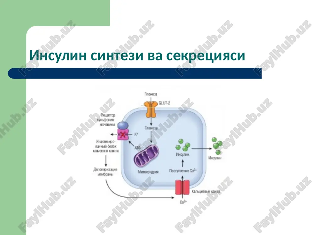 моддалар алмашинуви ҳасталиклари - Page 4