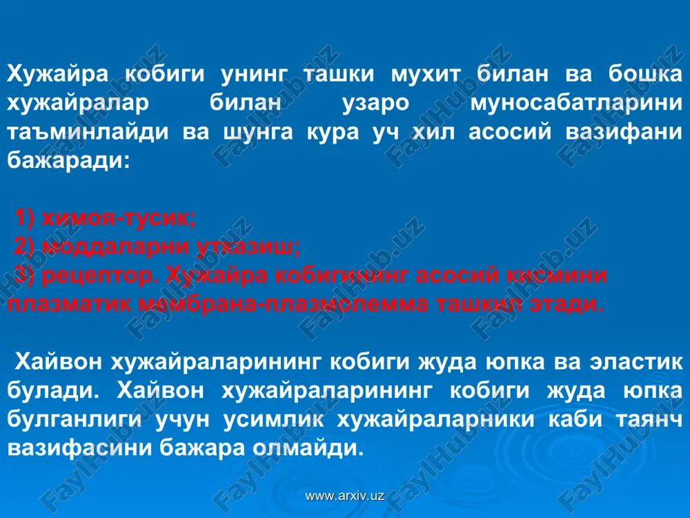 эукариотлар - Page 4